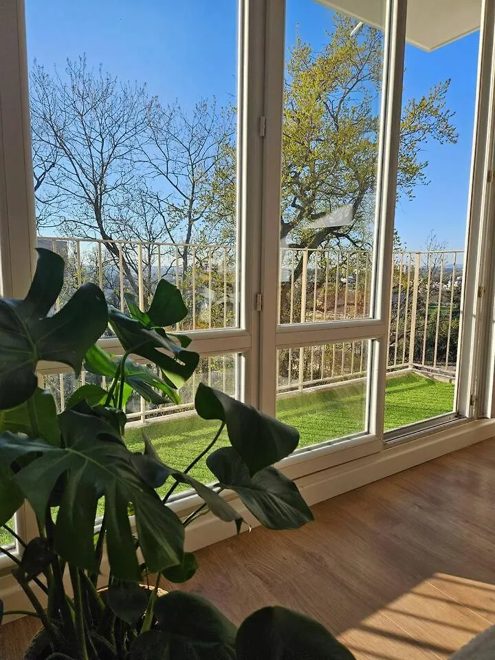 Logement Spacieux Et Lumineux La Mulatiere Appartement